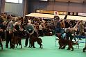 Crufts2010 1319